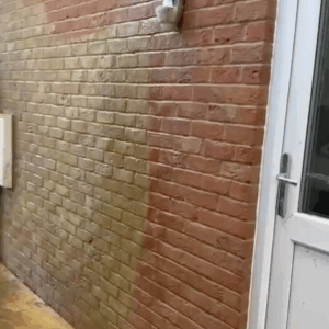 Professional Brick Cleaning Services